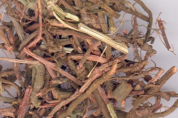 藏茜草
