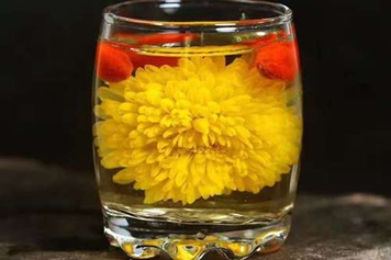 大朵黄菊花茶
