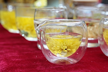 大菊花泡水喝