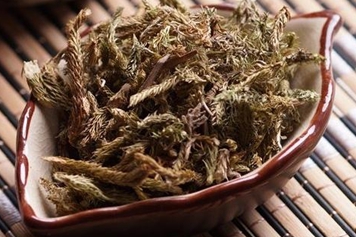 抽筋草根