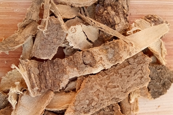 樗白皮
