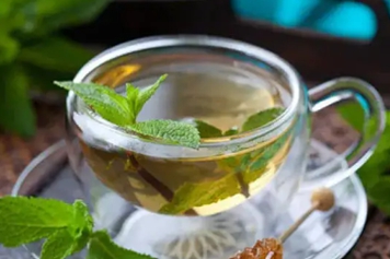 薄荷绿茶泡水