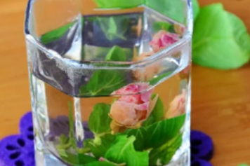 薄荷和玫瑰花泡水喝