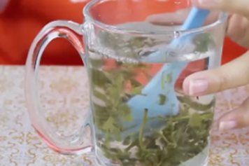 茶叶加醋