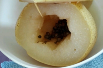 冰糖雪梨花椒水