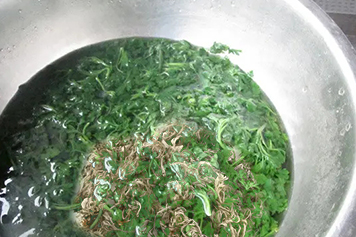 艾叶跟茵陈一起煮