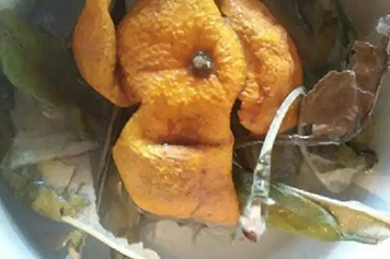 陈皮枇杷叶煮水