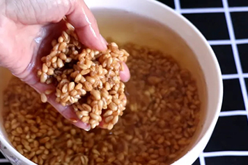 陈麦子熬水