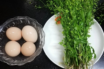 鹅蛋和荠菜一起吃