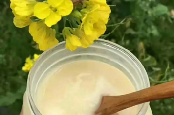 菜花糖蜂蜜