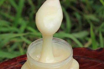 鸭脚木蜜