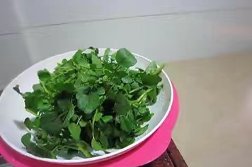 东洋菜