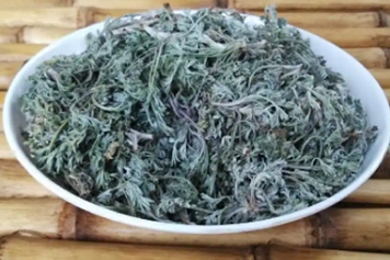 干白蒿