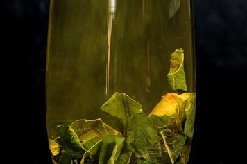 干荷花叶泡水喝