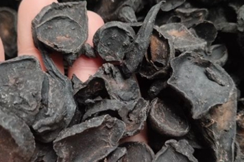 附子片