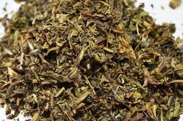 独花蒲公英