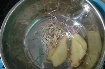 葱根和姜熬水喝