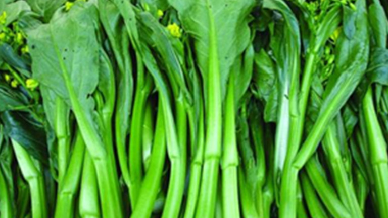 菜薹