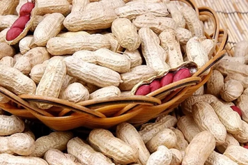 花生药用