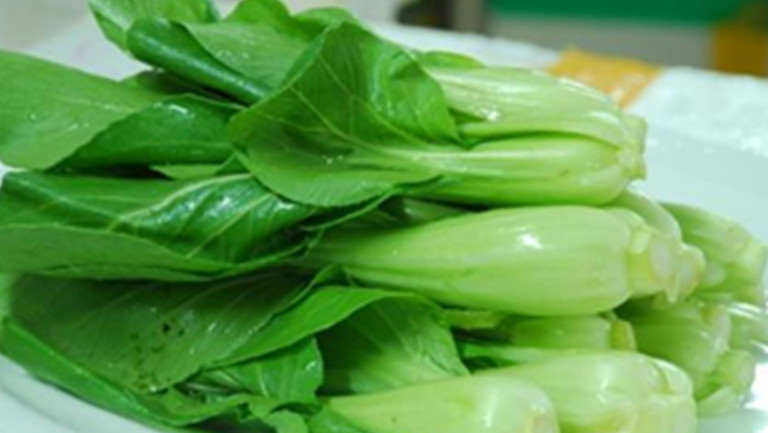 小油菜