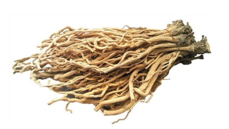 板蓝根