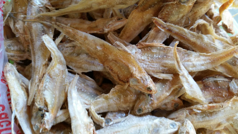 鱼干片