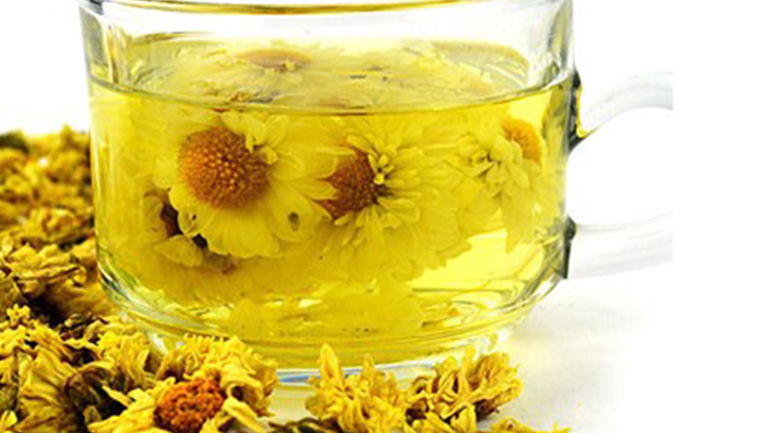 胎菊茶