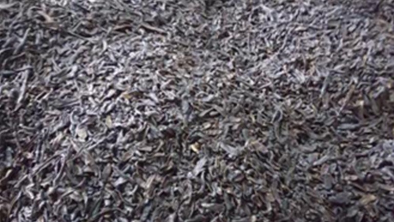 水蛭粉