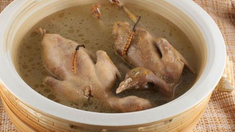 鸽子肉