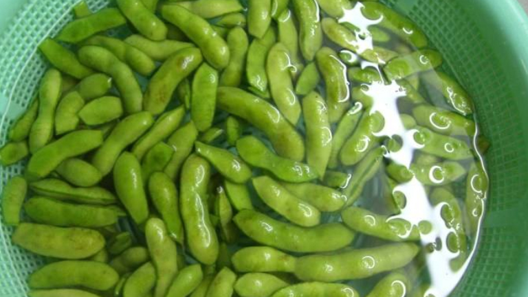 黑毛豆