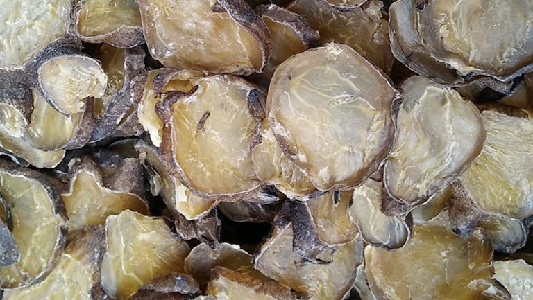 淡附片