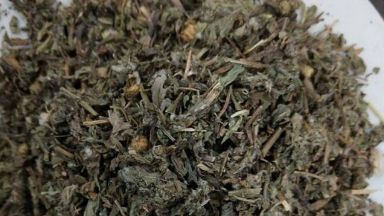 回心草