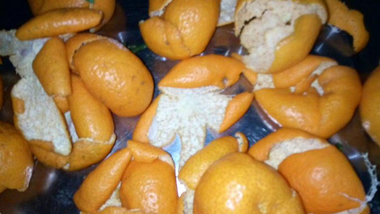 桔子皮