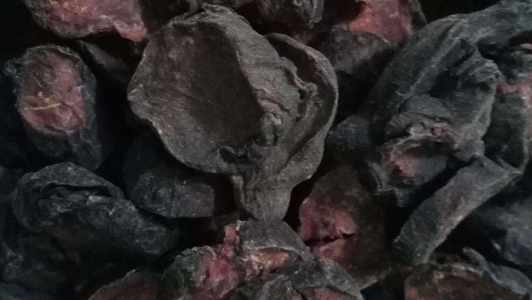 黑附子