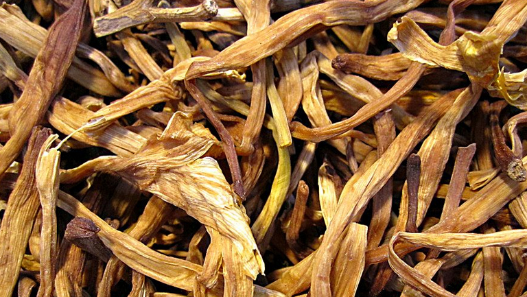 黄花菜根