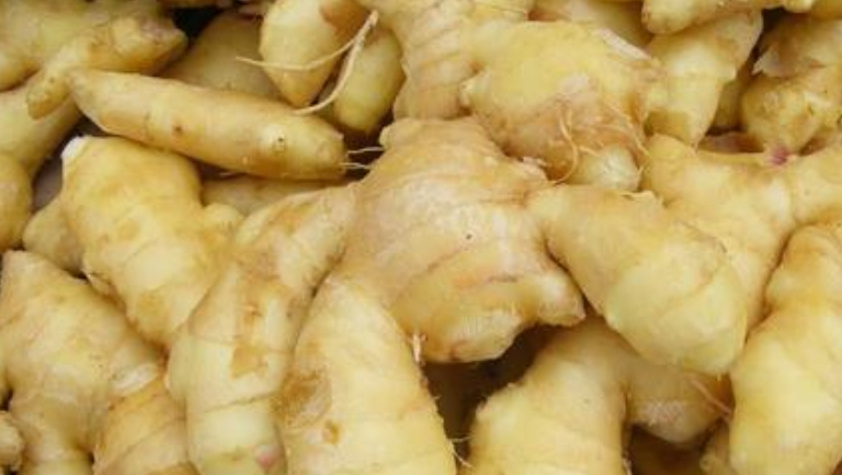 生姜片