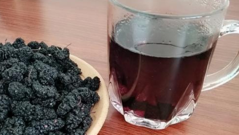 桑葚茶