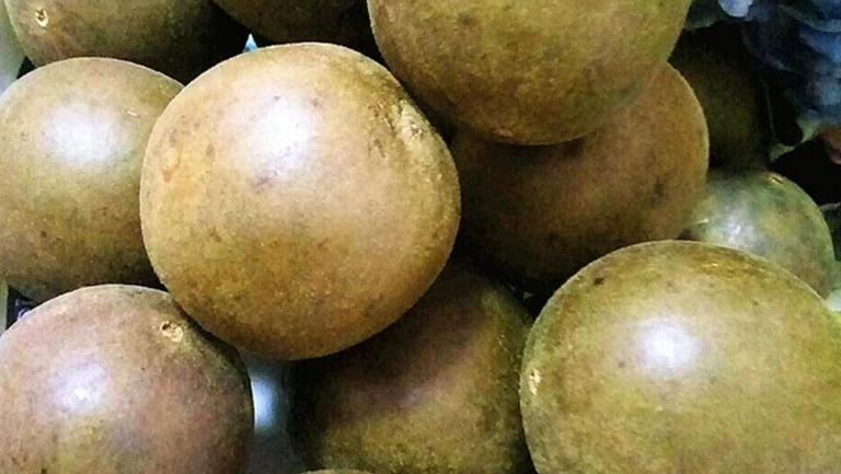 生罗汉果