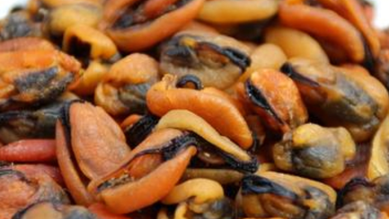 淡菜干