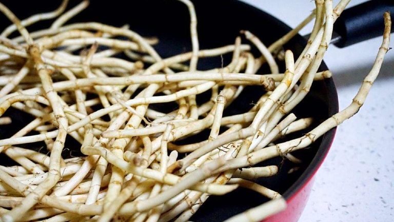 鱼腥草