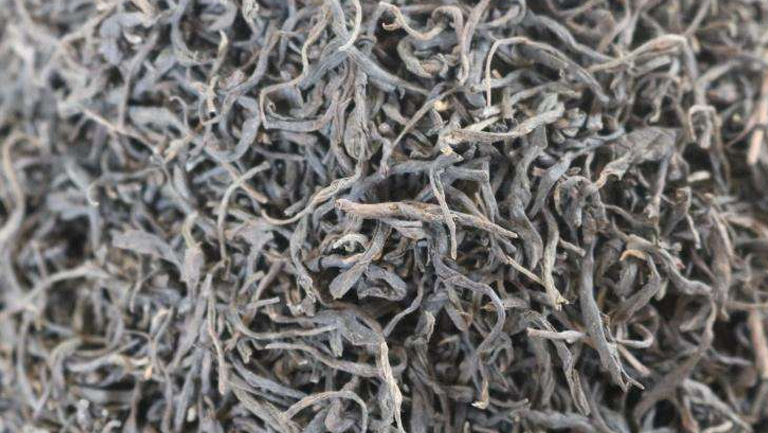 黑毛茶