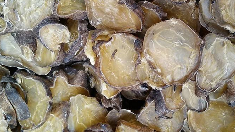 生附片