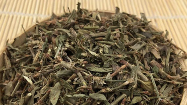 干猪牙草