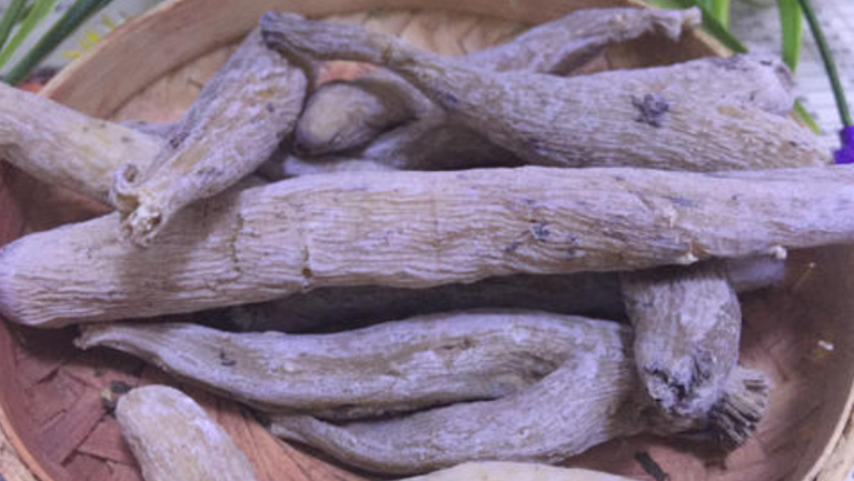 紫茉莉根