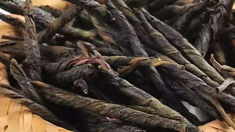 大叶苦丁茶
