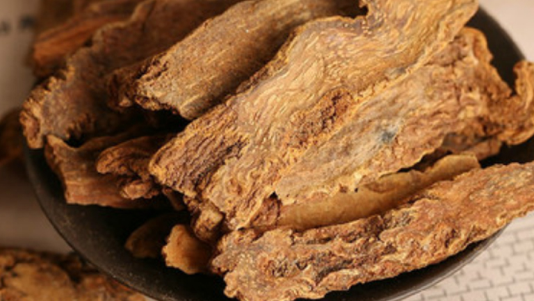 锁阳片