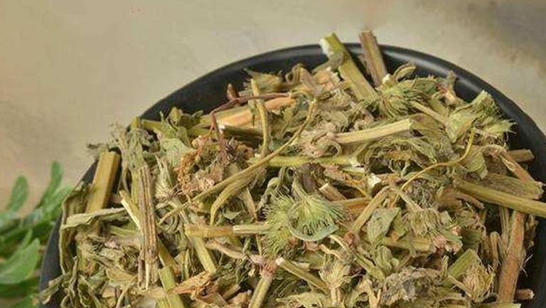 益母草汤