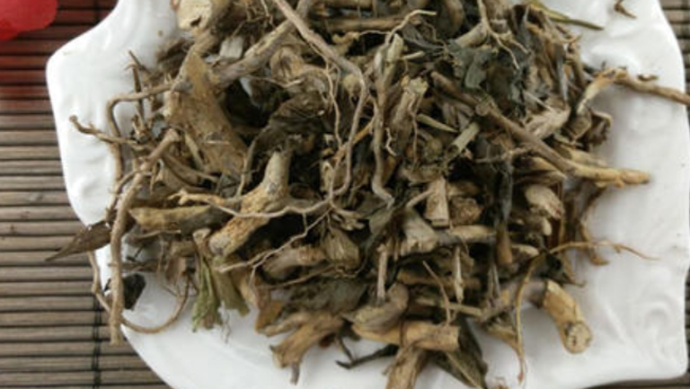白马骨根