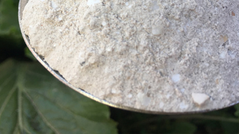 珍珠母粉