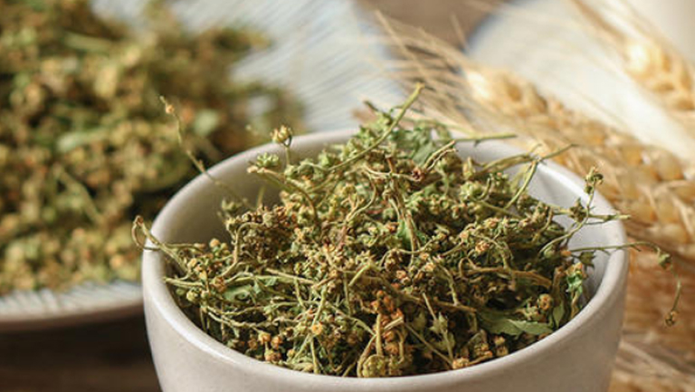 赶黄草花